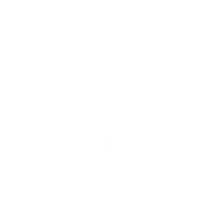 Fast Dispatch
