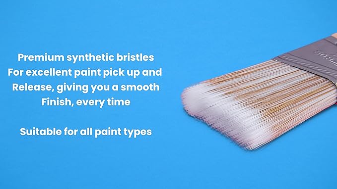 Pro Renovator Paint Brush Set 6 Pack